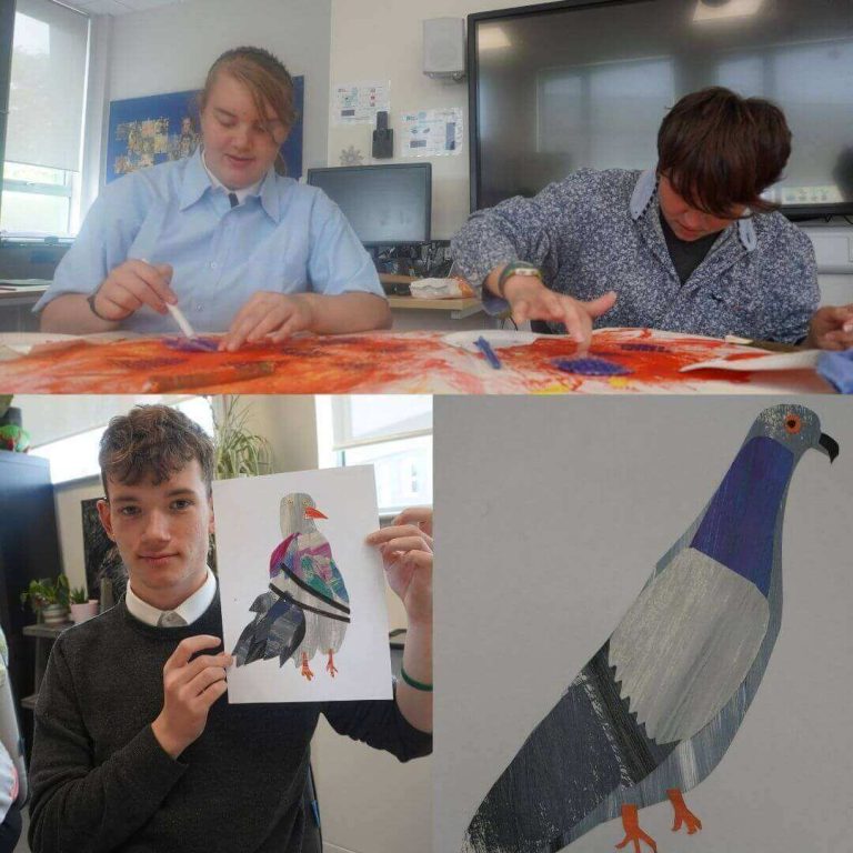Mary the Pigeon Project